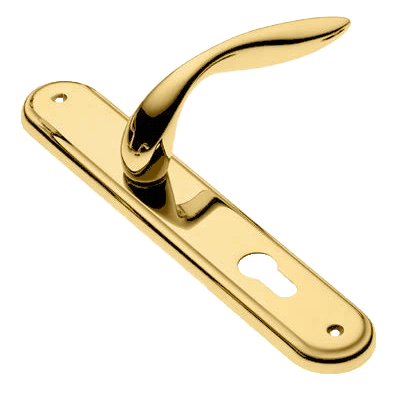 Ручка дверная на планке LEON PL OTL, цвет золото, латунь фото купить в Актобе